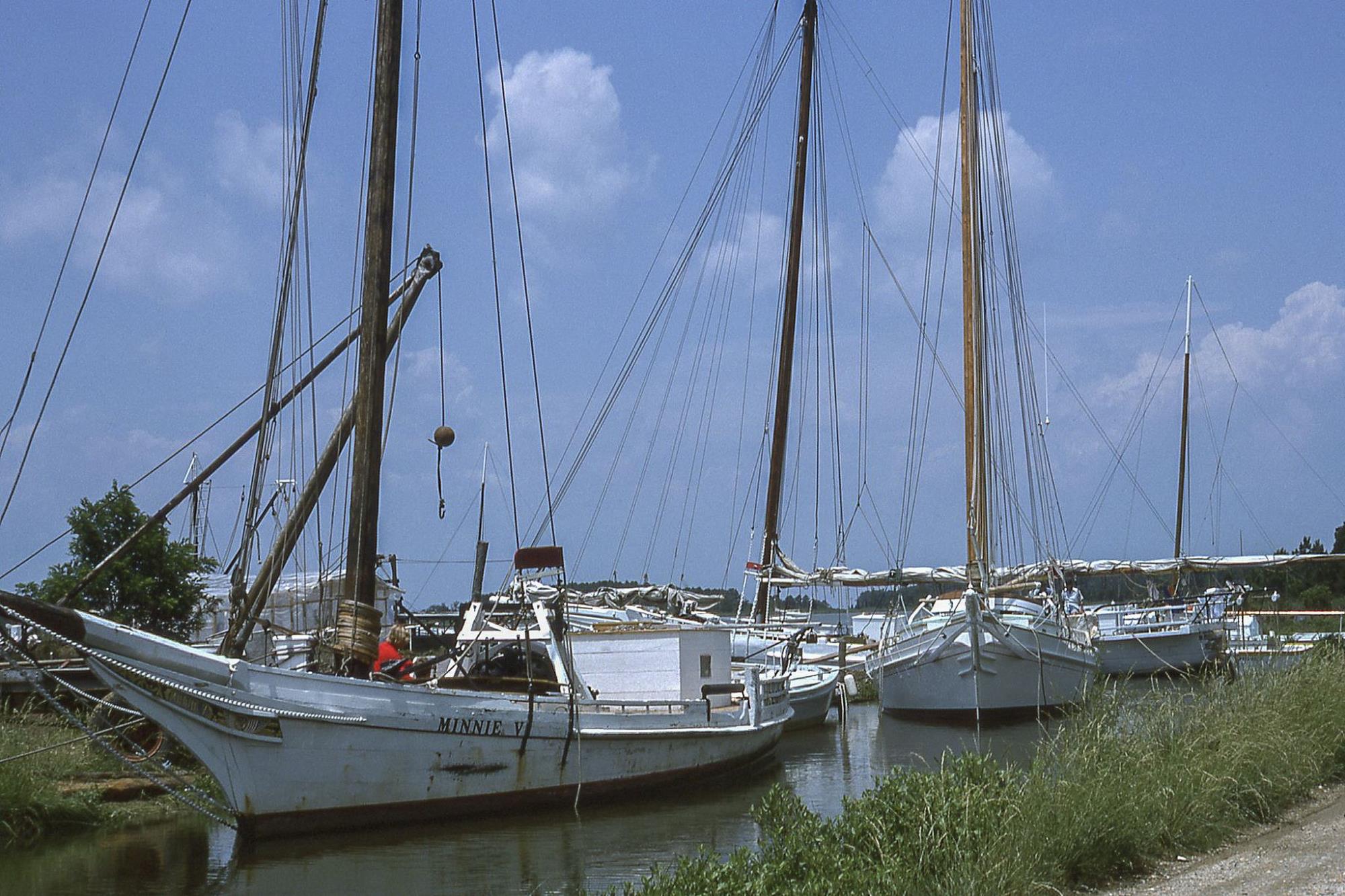 CBMM catalog image